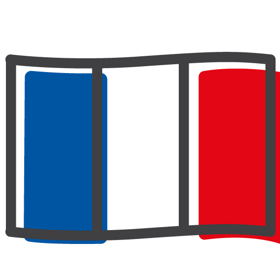 icone drapeau francais stick vibes