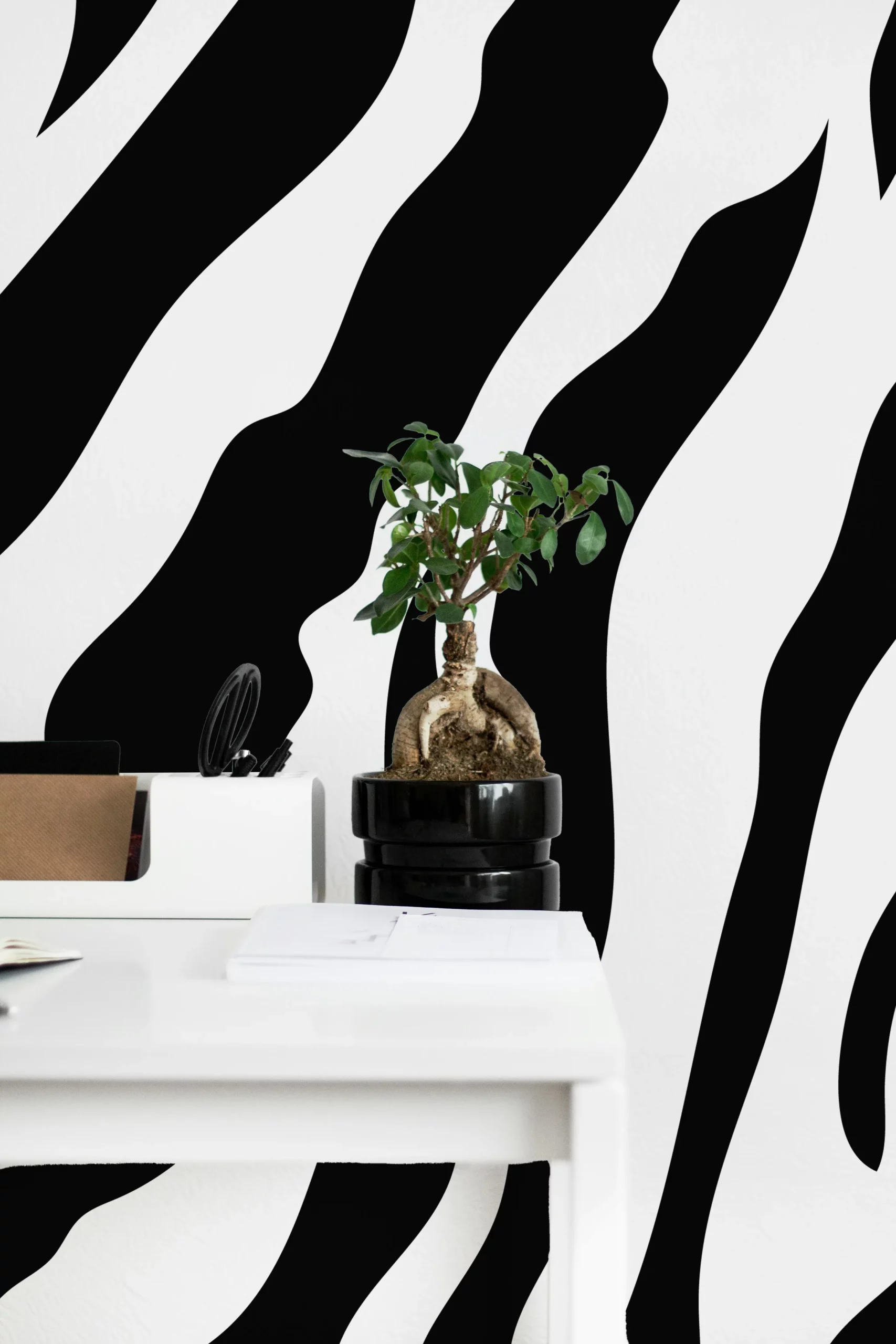 Échantillons ANIMAUX23 – Image 2